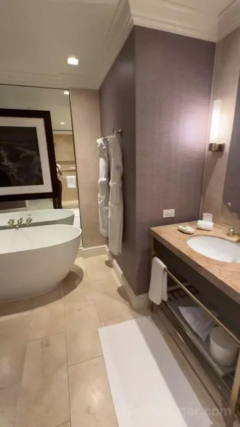 Mansion Suite bathroom picture #9