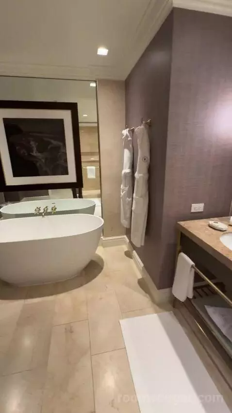 Mansion Suite bathroom picture #11