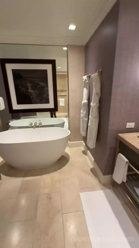 Mansion Suite bathroom picture #12