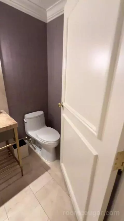 Mansion Suite bathroom picture #4