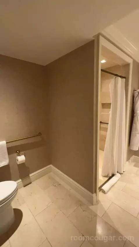 Turtle Creek Suite bathroom picture #3