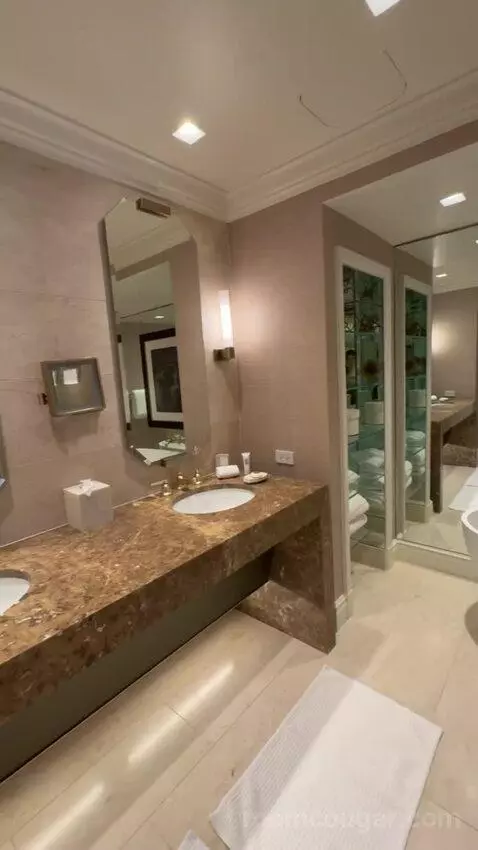 Turtle Creek Suite bathroom picture #7