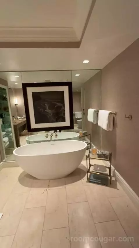 Turtle Creek Suite bathroom picture #9