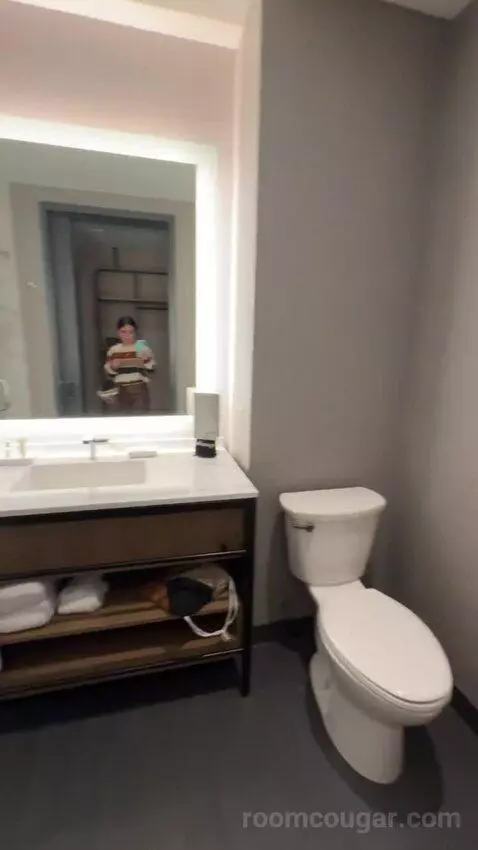 Standard Guest Room with 2 Queen, City View bathroom picture #9
