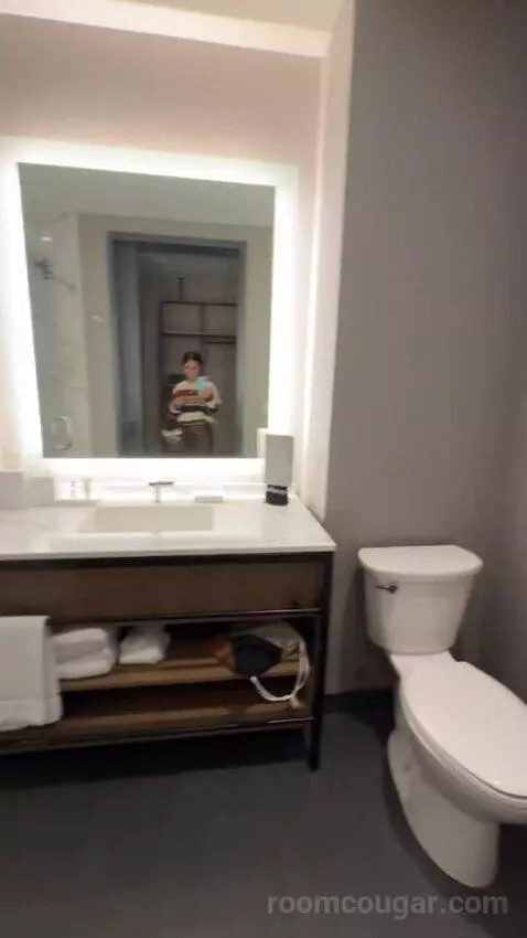 Standard Guest Room with 2 Queen, City View bathroom picture #10