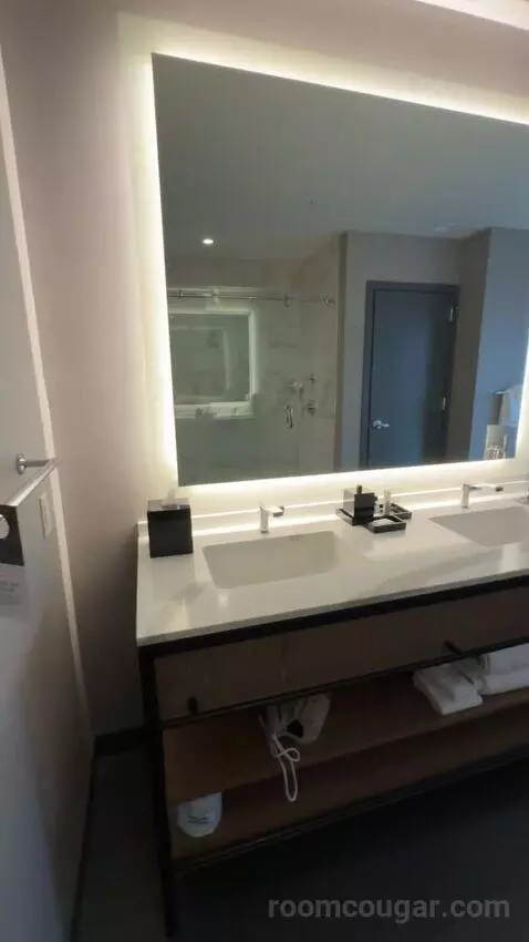 Junior King Suite bathroom picture #2