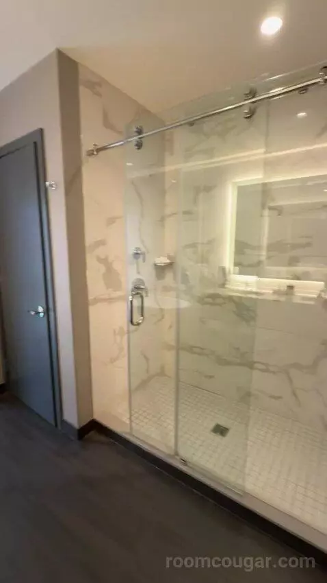 Junior King Suite bathroom picture #4