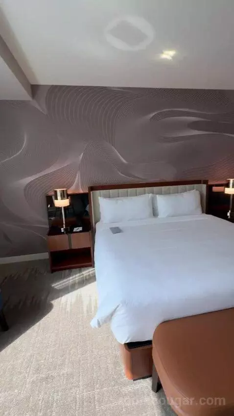 Standard King Room bed picture #10