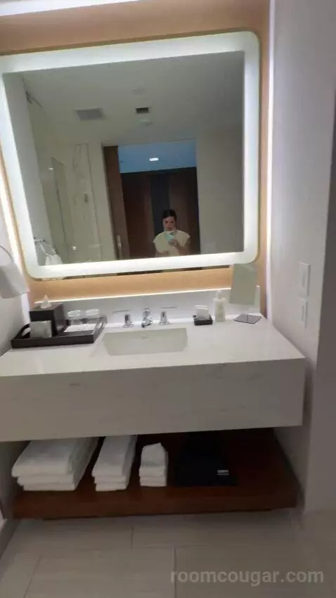 Standard King Room bathroom picture #5