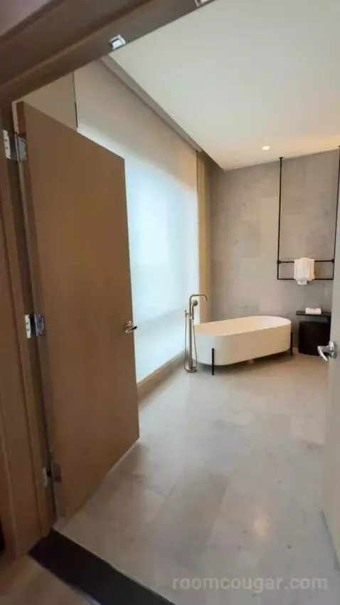 Presidential Suite bathroom picture #6