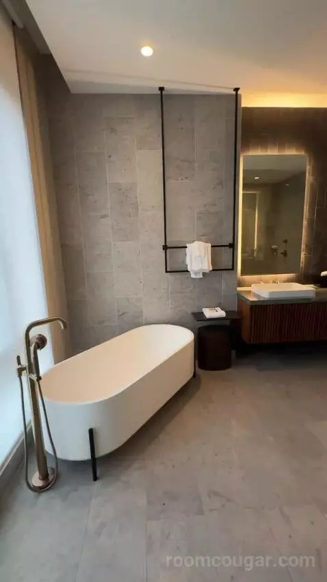 Presidential Suite bathroom picture #8