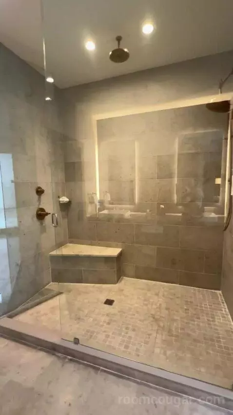 Presidential Suite bathroom picture #10