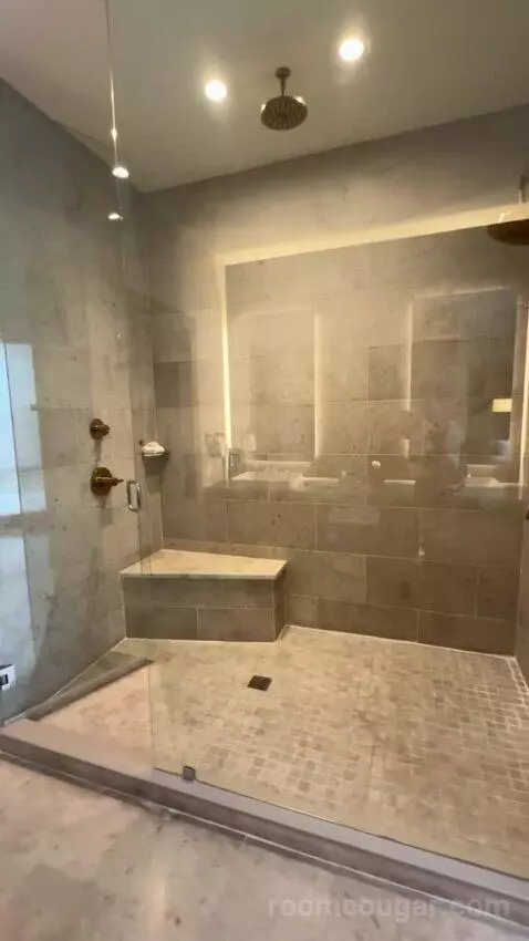 Presidential Suite bathroom picture #11