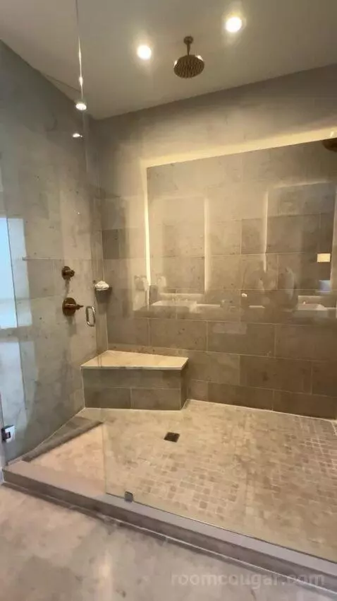 Presidential Suite bathroom picture #12