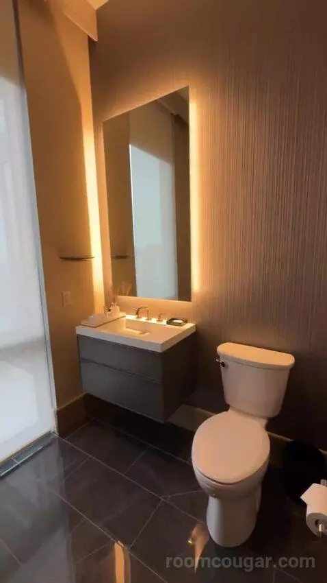 Presidential Suite bathroom picture #1