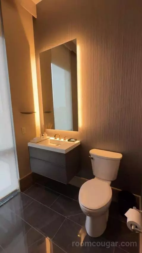 Presidential Suite bathroom picture #2