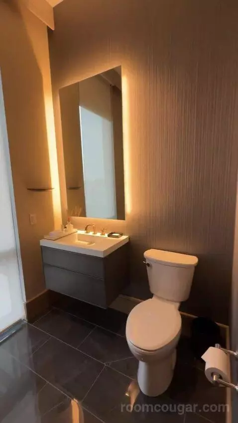 Presidential Suite bathroom picture #3