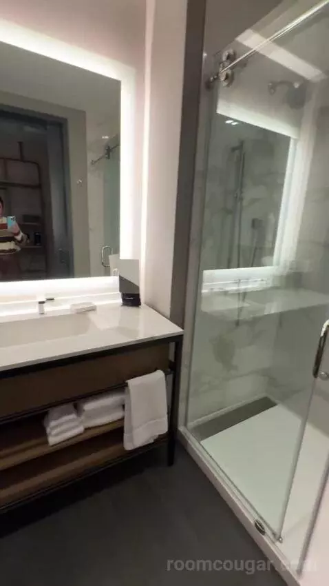 Standard Guest Room with 1 King, City View bathroom picture #4