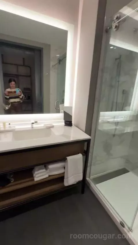 Standard Guest Room with 1 King, City View bathroom picture #6
