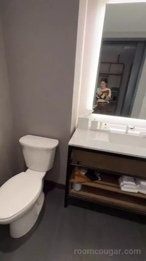 Standard Guest Room with 1 King, City View bathroom picture #7