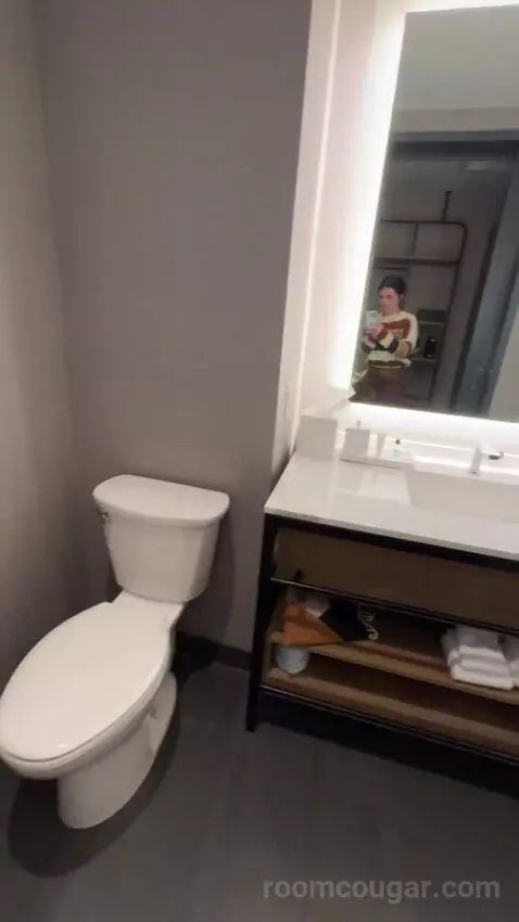 Standard Guest Room with 1 King, City View bathroom picture #8