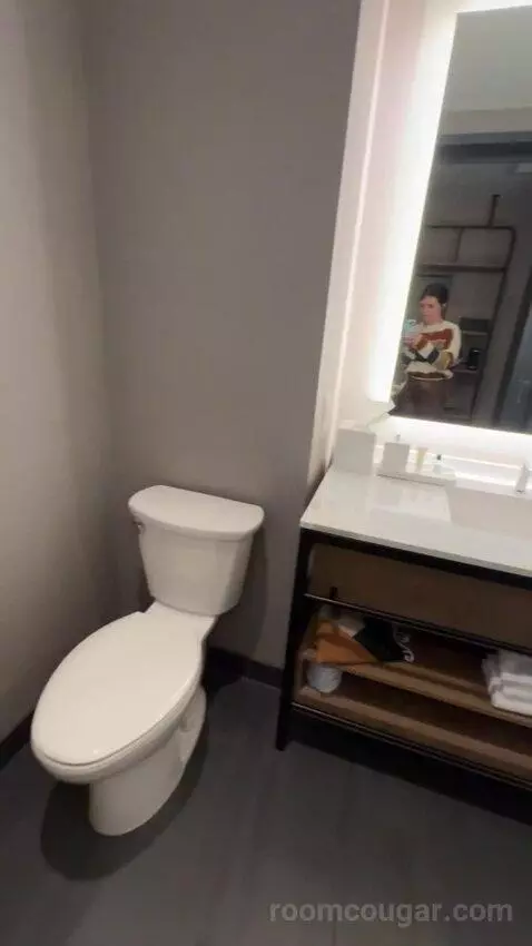 Standard Guest Room with 1 King, City View bathroom picture #9
