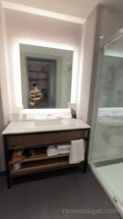 Standard Guest Room with 1 King, City View bathroom picture #10