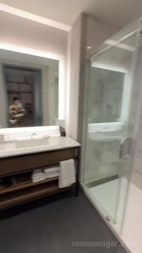 Standard Guest Room with 1 King, City View bathroom picture #11