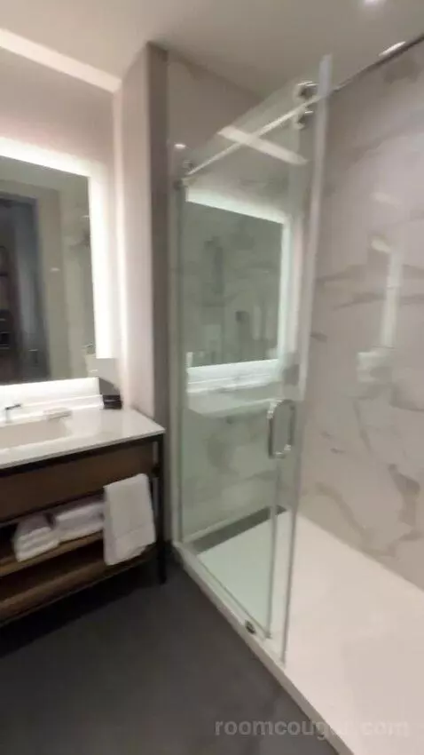 Standard Guest Room with 1 King, City View bathroom picture #12