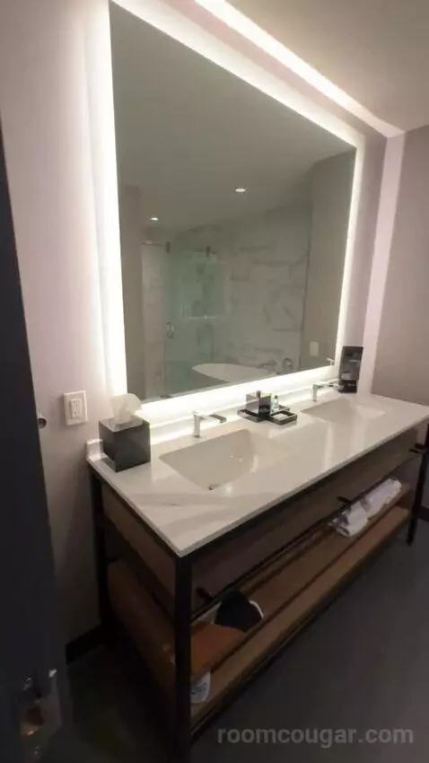 Deluxe Guest Room with 1 King, City View, High Floor bathroom picture #1