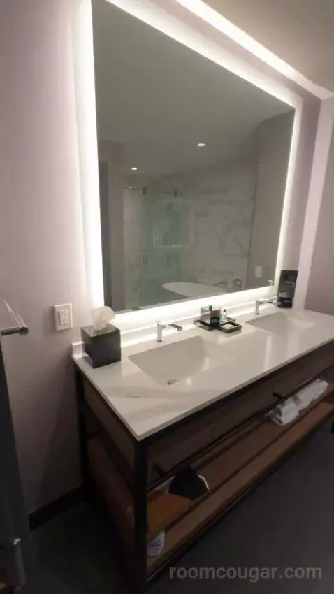 Deluxe Guest Room with 1 King, City View, High Floor bathroom picture #2