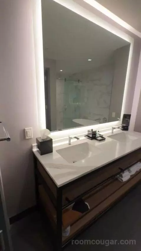Deluxe Guest Room with 1 King, City View, High Floor bathroom picture #3