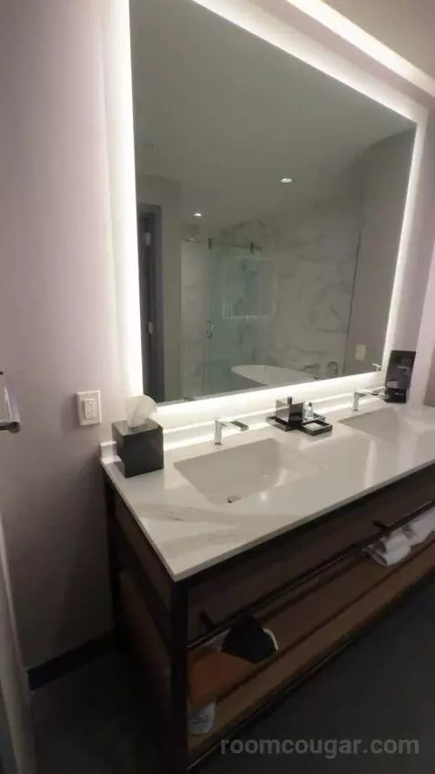 Deluxe Guest Room with 1 King, City View, High Floor bathroom picture #4