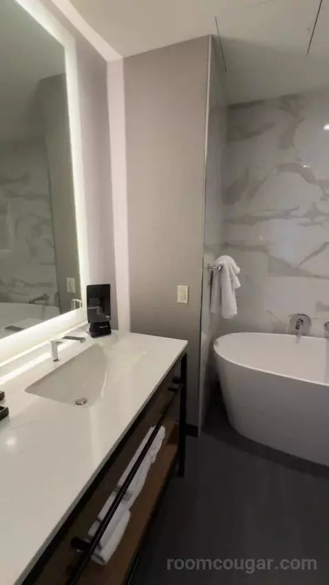 Deluxe Guest Room with 1 King, City View, High Floor bathroom picture #5
