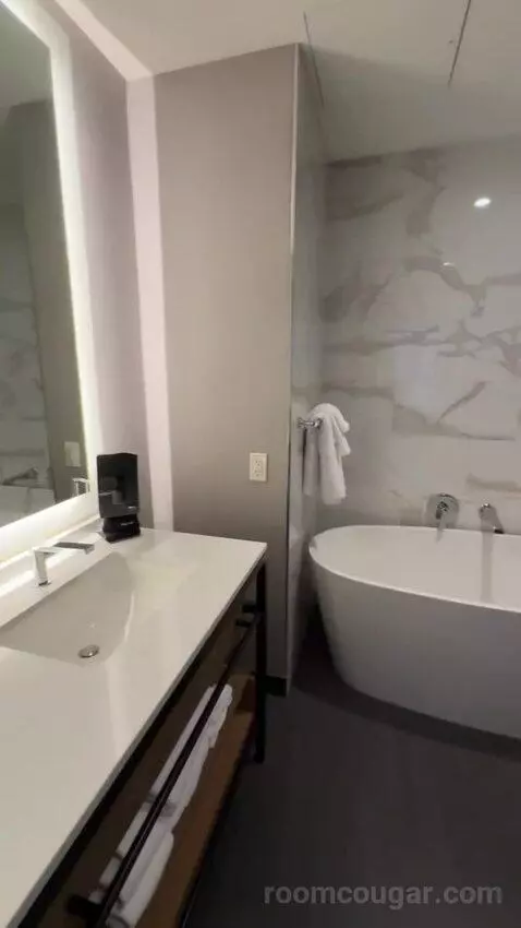 Deluxe Guest Room with 1 King, City View, High Floor bathroom picture #6