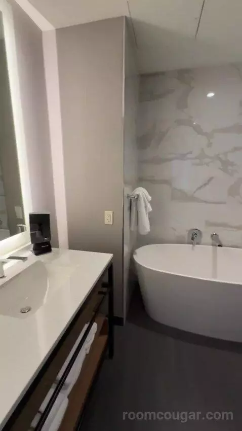 Deluxe Guest Room with 1 King, City View, High Floor bathroom picture #7