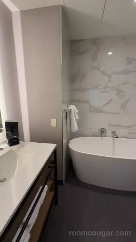 Deluxe Guest Room with 1 King, City View, High Floor bathroom picture #8