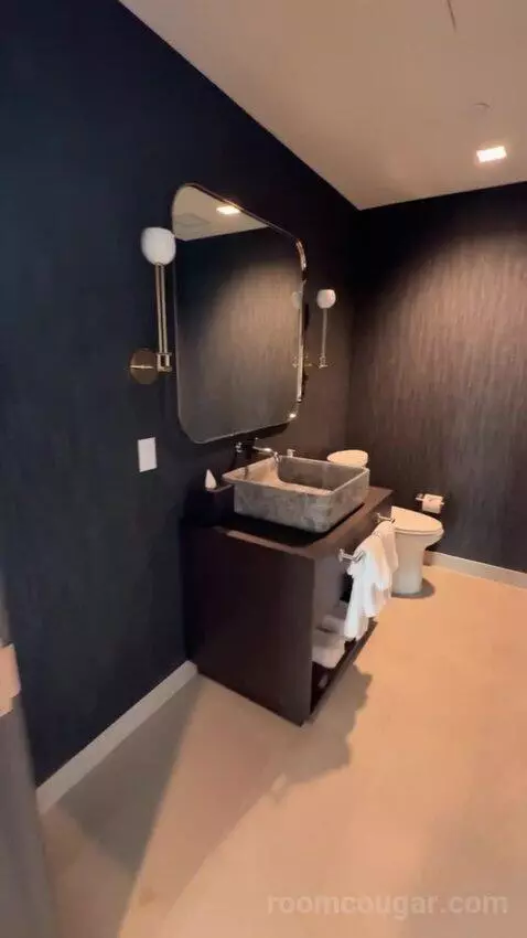 Vice Presidential Suite bathroom picture #1