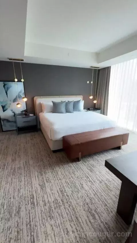 Vice Presidential Suite bed picture #2