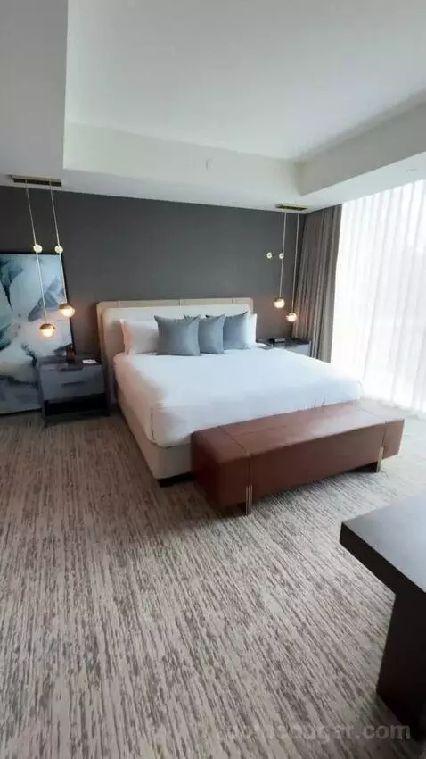 Vice Presidential Suite bed picture #3