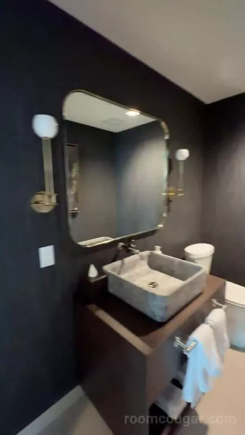 Vice Presidential Suite bathroom picture #3