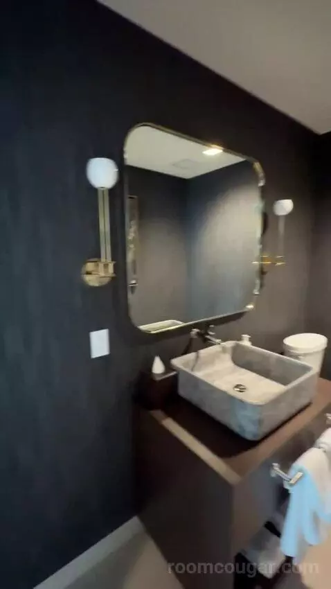 Vice Presidential Suite bathroom picture #4