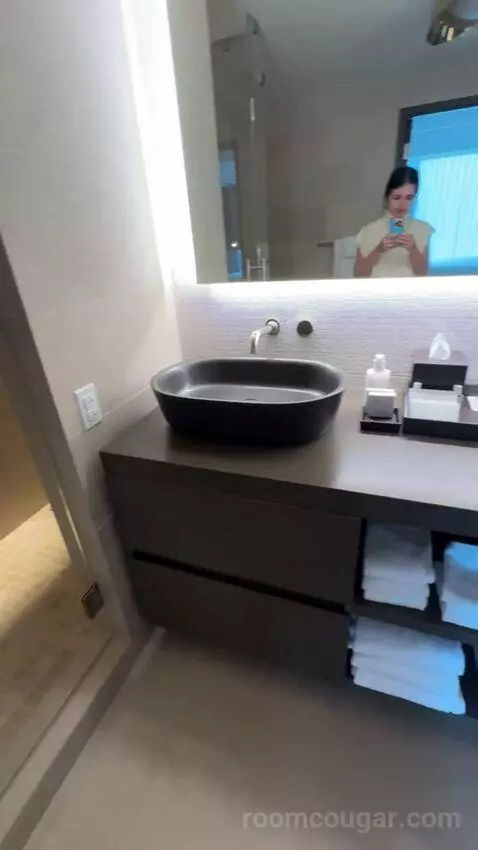 Vice Presidential Suite bathroom picture #9