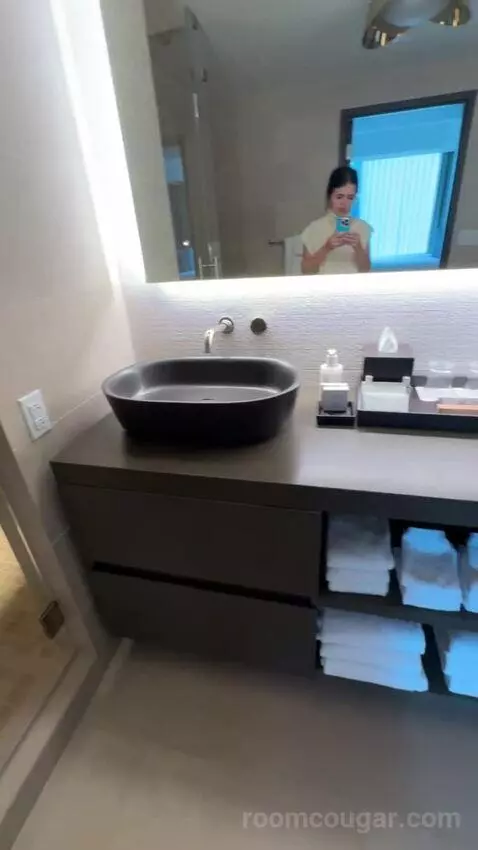 Vice Presidential Suite bathroom picture #10