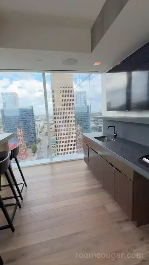 Vice Presidential Suite view picture #4