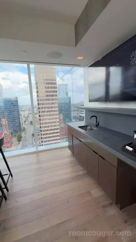 Vice Presidential Suite view picture #6