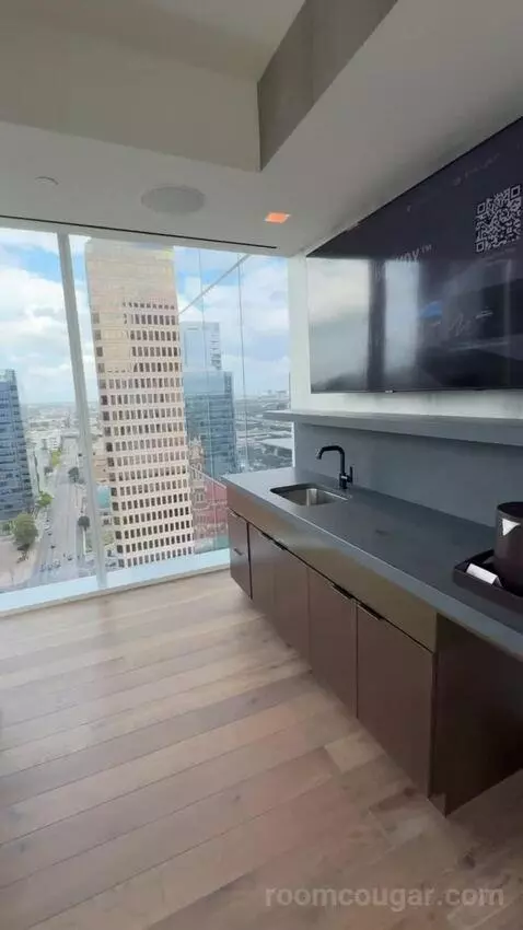 Vice Presidential Suite view picture #8