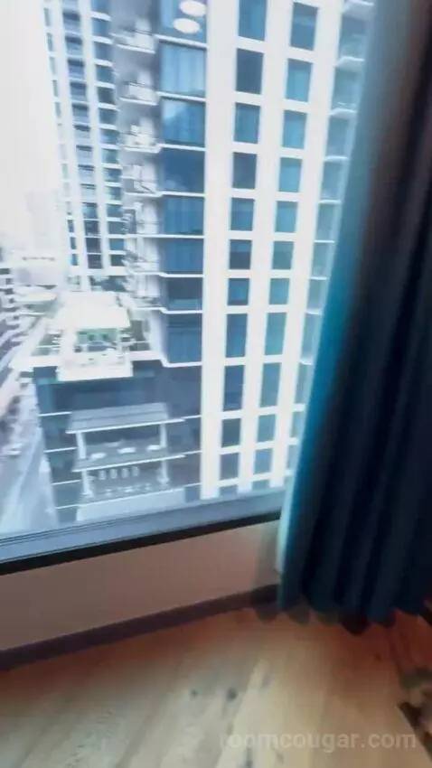 Presidential Suite view picture #2