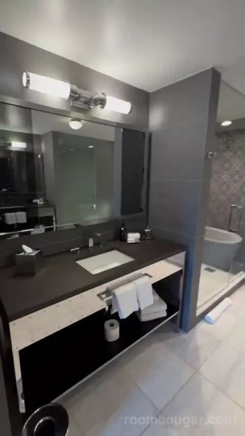 Presidential Suite bathroom picture #5