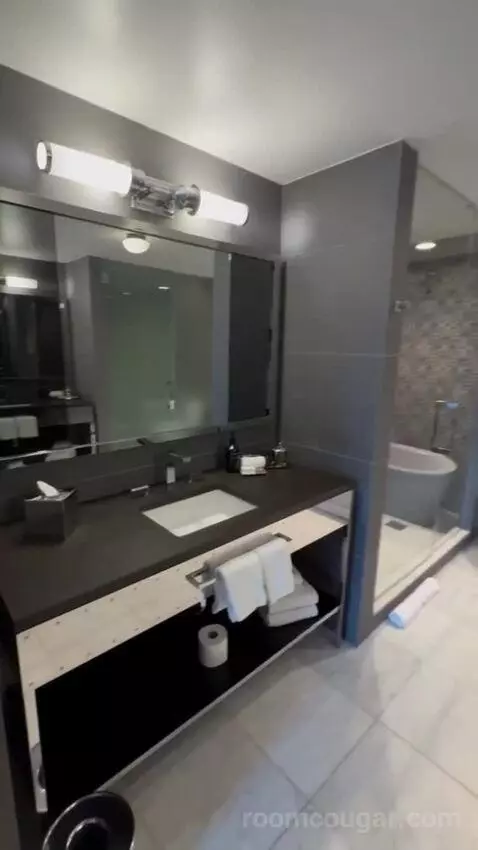 Presidential Suite bathroom picture #6